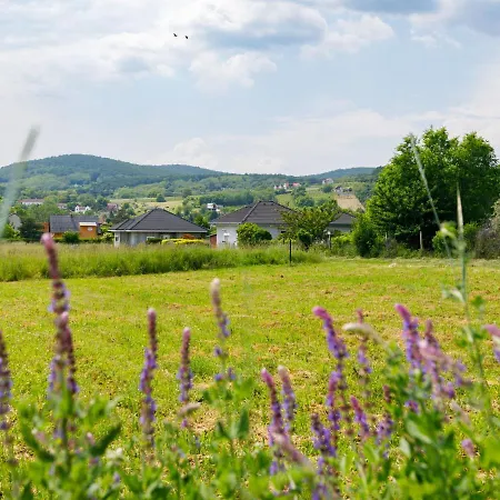 Casa de Férias Geminis By Interhome Ábrahámhegy